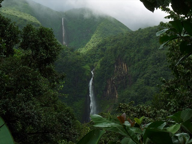 Les chutes du Carbet